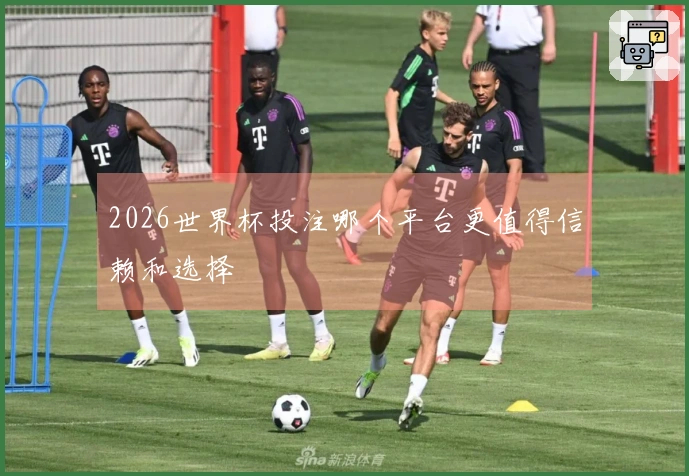 2026世界杯投注哪个平台更值得信赖和选择
