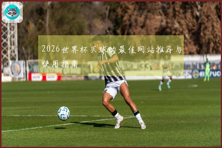 2026世界杯买球的最佳网站推荐与使用指南
