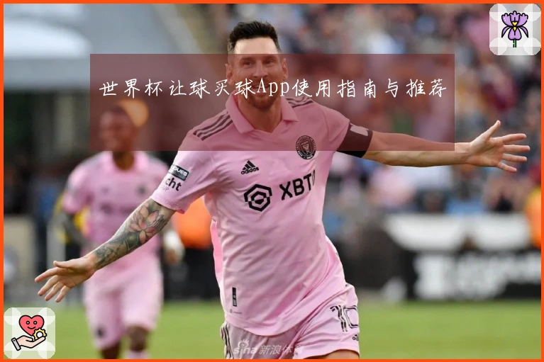 世界杯让球买球App使用指南与推荐