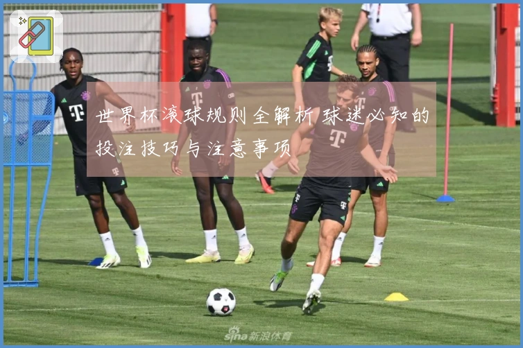 世界杯滚球规则全解析 球迷必知的投注技巧与注意事项