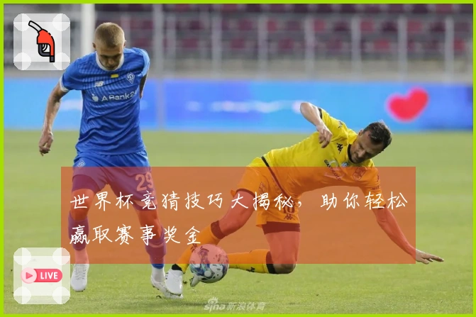 世界杯竞猜技巧大揭秘，助你轻松赢取赛事奖金