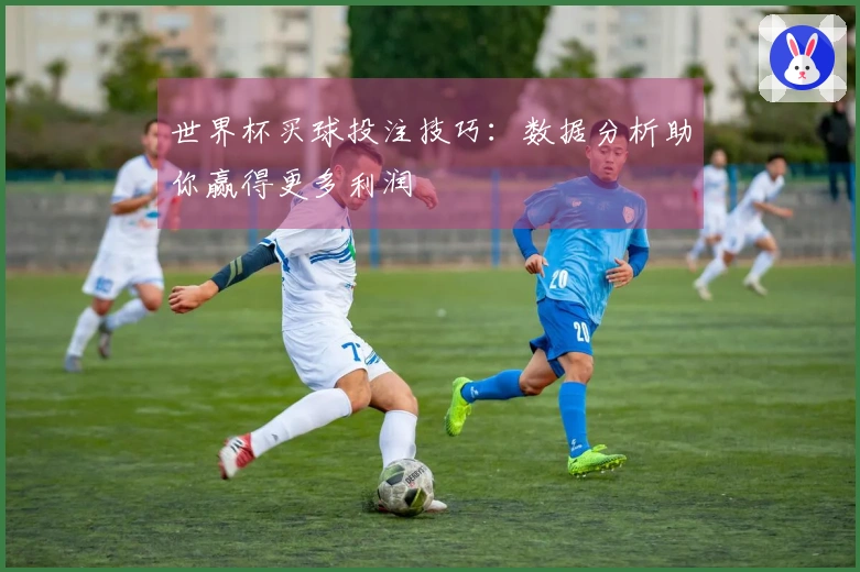 世界杯买球投注技巧：数据分析助你赢得更多利润