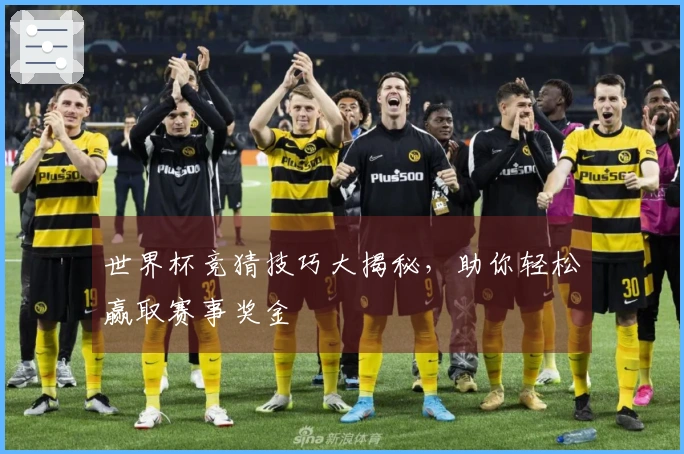 世界杯竞猜技巧大揭秘，助你轻松赢取赛事奖金