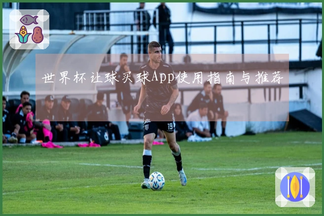 世界杯让球买球App使用指南与推荐